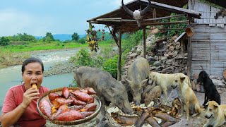 survival in the rainforestfound fishes with potato for cook amp give to pets HD [upl. by Muncey705]