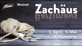 Musical Zachäus – Bartimäus Trailer  AdoniaTeensTour 2024 [upl. by Asha]