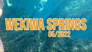 A Day in Wekiva Springs State Park  2022 [upl. by Eittol756]