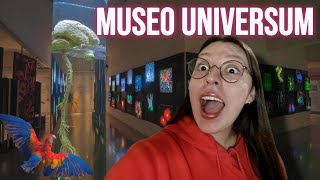 ¿Qué puedo encontrar en el museo de ciencias  Universum UNAM [upl. by Noe307]