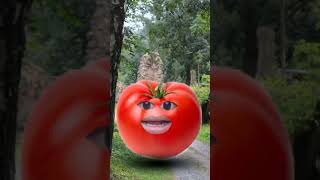 TOMATO AND BRINJEL TOMATOR OR BINGAN shirtsvideo 😎 [upl. by Gibbons]