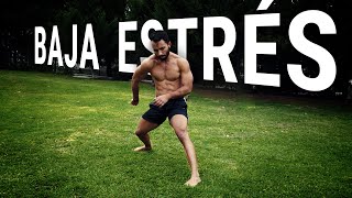 SÓLO 10 min de estos EJERCICIOS por la MAÑANA Lo agradecerás viral fitness calisthenics [upl. by Adiasteb962]