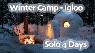 4 Days SOLO WINTER Camp  IGLOO Build  CHAGA Harvesting  Snow Shelter  Snowfall [upl. by Manvel]