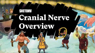 Memorizing the Cranial Nerves Full Lesson  Sketchy Medical  USMLE Step 1 [upl. by Nabetse]