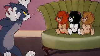 Tom and Jerry  Tom and jerry hindi cartoon  Tom and Jerry cartoon  hindi cartoon part 3 [upl. by Conlee]