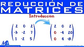 Reducción de matrices  Introducción  Gauss y Gauss Jordan [upl. by Farman305]