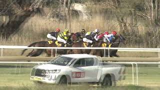 Cootamundra 18 05 2024 Race 4 [upl. by Adnil571]