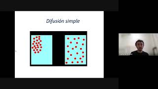 Curso Bases de la Fisiología  1ra clase Transporte a través de las membranas y PMR [upl. by Malva]