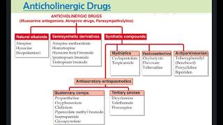 Anticholinergic Drugs [upl. by Giffer255]