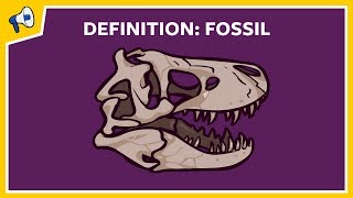 What is a fossil Quick Definition [upl. by Etneciv]