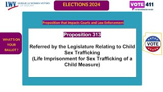 2024 Whats on Your ballot Proposition 313 [upl. by Chaworth]