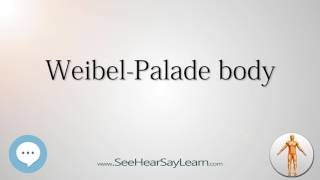 Weibel Palade body Anatomy Named After People 🔊 [upl. by Orford272]