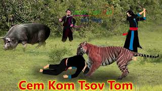 Yawg Txooj Naib Cem Kom Tsov Tom 【28112023】 [upl. by Assele]