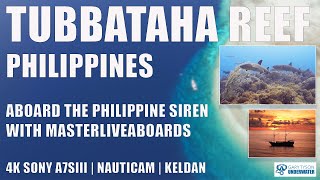 4K Tubbataha Reef Philippines Scuba diving aboard the Philippines Siren liveaboard in June 2024 [upl. by Teodorico]