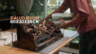 Make a 60x30x25cm Paludarium [upl. by Arod]