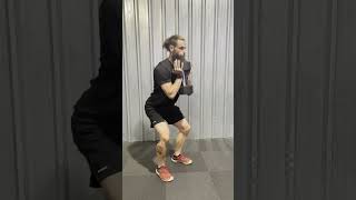 Dumbbell DB Goblet Squats Exercise Demo [upl. by Allsopp]