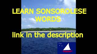 Learn Sonsorolese vocabulary [upl. by Araihc215]