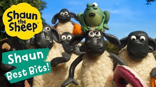 Pond Life  Shaun the Sheep Best Bits Season 6 [upl. by Pros]