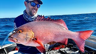 Fishing The Ningaloo Reef  Exmouth in a roof topper [upl. by Maureene]