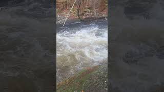 Brooks Falls in Emsdale Ontario waterfall relaxing asmr [upl. by Ecnahs]