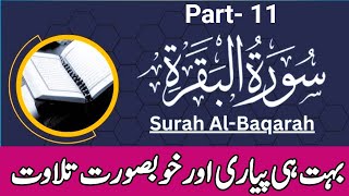 Heart Melting Recitation of Surah Al Baqarah 11  Free Copyright Quran  Learn Quran Deeply quran [upl. by Viguerie]