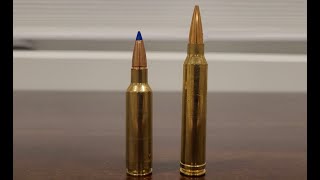 300 WSM vs 300 Winchester Mag [upl. by Ambie]