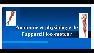 Anatomie et Physiologie de lappareil Locomoteur [upl. by Solon896]