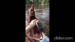 Corina Kopf montando a caballo descalza Corina Kopf barefoot riding horse [upl. by Amadeus680]