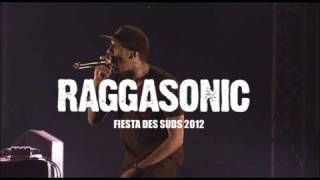 Raggasonic  Mon Sound Live Audio [upl. by Karlan]