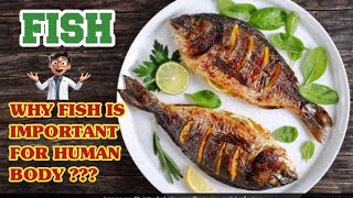 Why FISH is Important for Human body  Fish health benefits [upl. by Mitzl]