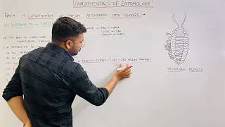 Arthropoda Subphylum Trilobitomorpha  Entomology [upl. by Noillid]