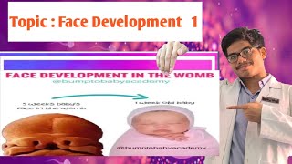 Face Development First Pharyngeal Arch  Maxillary and Mandibular Processes  Nasal Placodes [upl. by Anoyet]