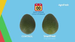 SmartFresh for Avocados [upl. by Edwine529]