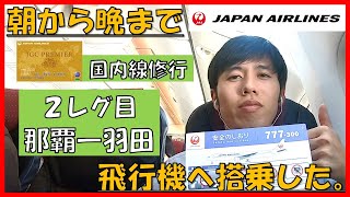 【JGCプレミア修行】朝から晩まで修行僧は飛行機へ搭乗する Part2【那覇ー羽田】 [upl. by Holden414]