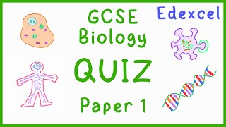 GCSE Biology Paper 1 Quiz Edexcel [upl. by Nesmat]