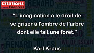 Limagination a le droit de se griser à lombre de larbre dont elle fait une forêt  Karl Kraus [upl. by Rehpotsihc]