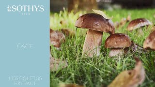 1055 Boletus extract an exclusive Sothys active ingredient  Sothys [upl. by Dagall]