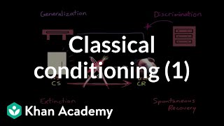 Classical conditioning Extinction spontaneous recovery generalization discrimination [upl. by Idolah612]