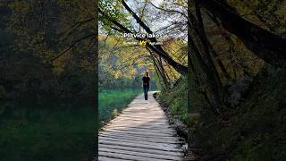 Plitvice lakes Summer vs autumn The beauty of both plitvice plitvicelakesnationalpark shorts [upl. by Litta728]