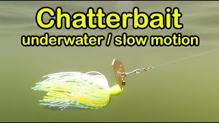 Chatterbait fishing lure underwater slow motion SHORTS [upl. by Gonzalo38]