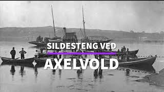 Sildesteng ved Axelvold [upl. by Vey]