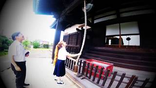 Temples in Japan 「お寺」 [upl. by Iny210]