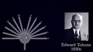 Edward Tolman and the Maze Unveiling Cognitive Maps [upl. by Aivart328]