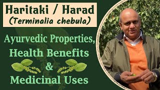 Haritaki  Harad Terminalia chebula  Ayurvedic Properties Health Benefits amp Medicinal Uses [upl. by Eigroeg319]