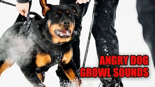 Angry Dog Growling 🐕 Dog Growling Sound Effect [upl. by Nevet519]