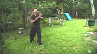 Tai Chi and Chi Kung Qigong WarmUps [upl. by Icyac]