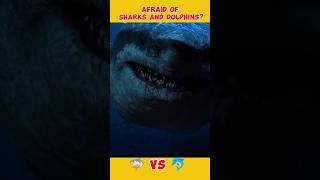 What are sharks afraid of sea sharks dolphin ocean [upl. by Niro930]