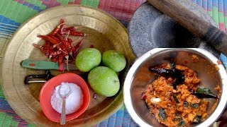 Mango Chutney  Mouth Watering Spicy Sour Mango Chutney  Aam ki Chutney  Food Cooking Videos [upl. by Zebedee]