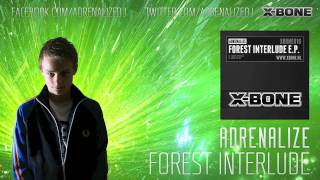 Adrenalize  Forest Interlude HQ Preview [upl. by Nairret]