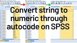 How to convert string to numeric variable on SPSS without losing data [upl. by Tod260]